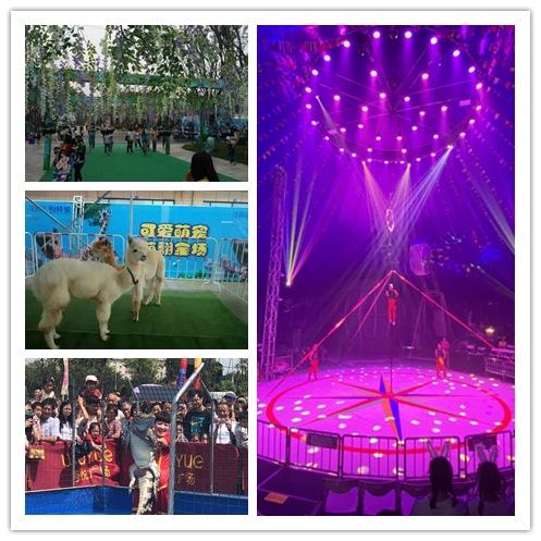 寧夏回族自治區(qū)當地租賃馬戲團租賃海洋展暖場方案