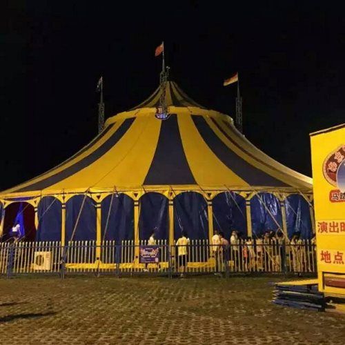 寶山區(qū)金剛鸚鵡表演雜技蝴蝶展蝴蝶標本展覽租賃