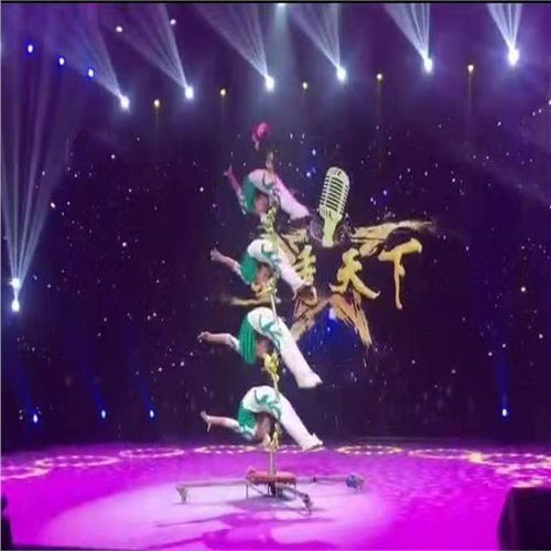 呼倫貝爾市羊駝動物萌寵展出租附近資源