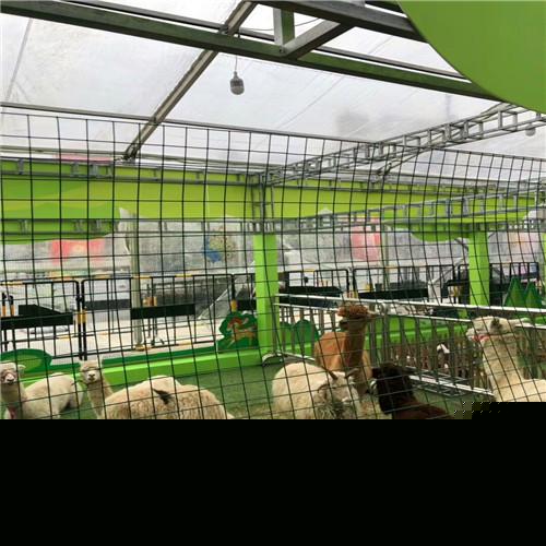 德州本地有馬戲團(tuán)表演出租的真誠為您服務(wù)