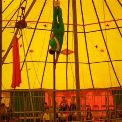 馬戲團大型馴獸表演出租 皇家大馬戲活動方案租賃