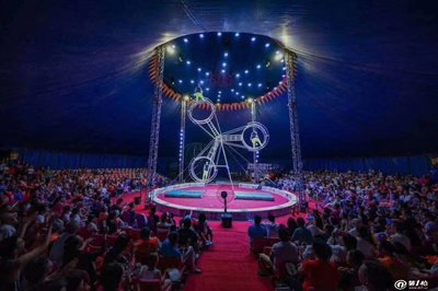 雜技馬戲團獅子表演環(huán)球飛車大飛輪表演出租動物租賃資源