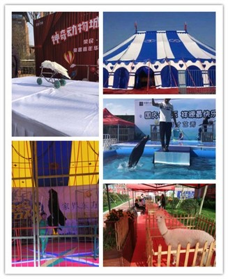從化大型馬戲團表演出租附近地區(qū)