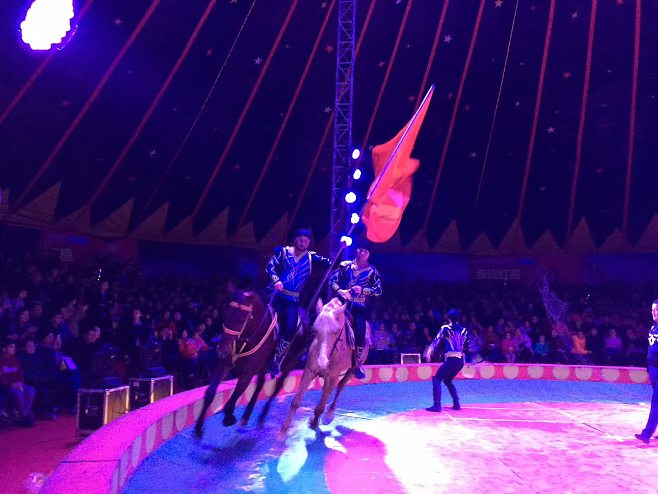 皇家馬戲團(tuán)演繹