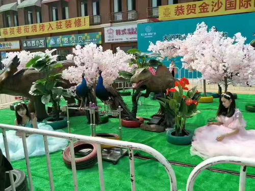 宿遷市皇家大馬戲團(tuán)表演出租哪里有