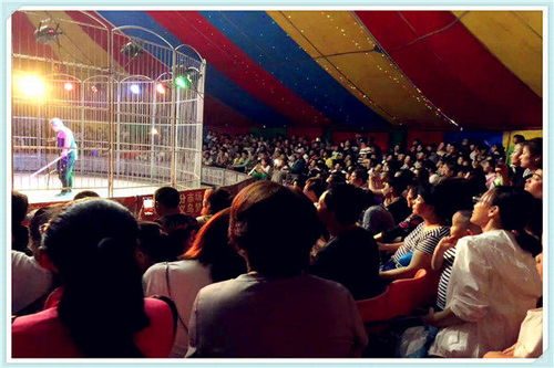 外籍馬戲團(tuán)租賃出租鶴崗