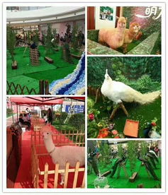 萌寵展覽動物租賃羊駝出租