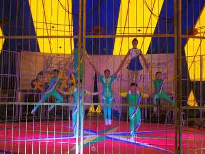 金華馬戲團(tuán)表演出租團(tuán)隊聯(lián)系電話資源