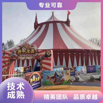 馬戲團/羊駝,出租動物表演靠譜商家