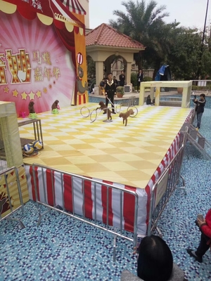 馬戲團活動主題 出租馬戲團