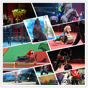 馬戲團表演出租天津_志趣網(wǎng)