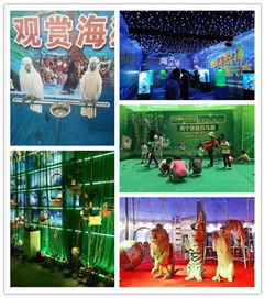 山東省淄博市淄川區百鳥展租賃多少錢一天