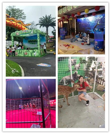 甘肅合作市雜技表演出租馬戲團百鳥展