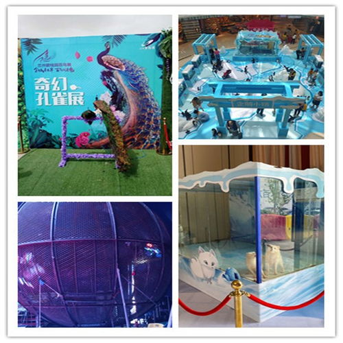 臨夏市對(duì)外馬戲團(tuán)表演出租