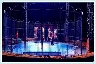 鄂爾多斯馬戲團演出 合作共贏的精彩盛宴