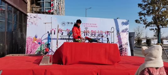 馬戲團動物演出租賃與費用指南