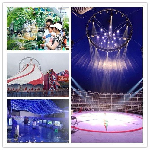 阜新市租賃企鵝展與馬戲團(tuán)表演合作項(xiàng)目