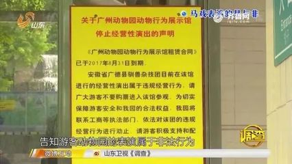 馬戲團(tuán)老虎傷人事件引發(fā)行業(yè)存廢爭(zhēng)議