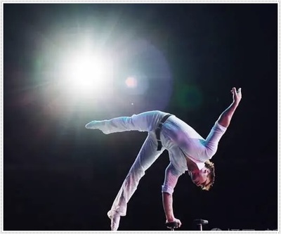 邵陽(yáng)馬戲團(tuán)2025年度馬術(shù)表演合作與租賃方案