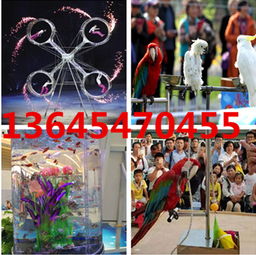 遷安市馬戲團(tuán)海獅表演出租服務(wù)介紹